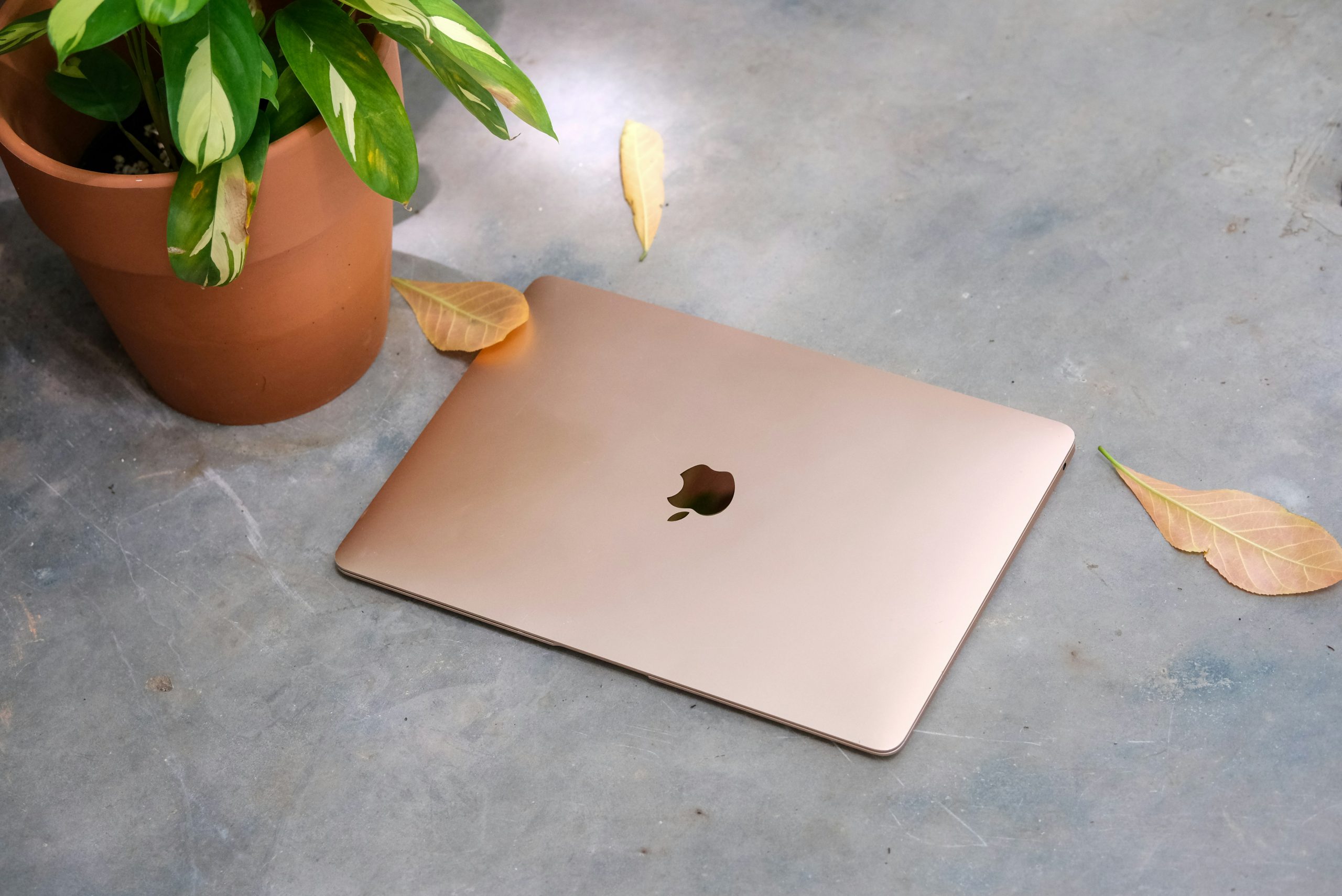sell apple macbook air (m1 chip13.3 inch) 16gb ram, 512gb ssd (gold)